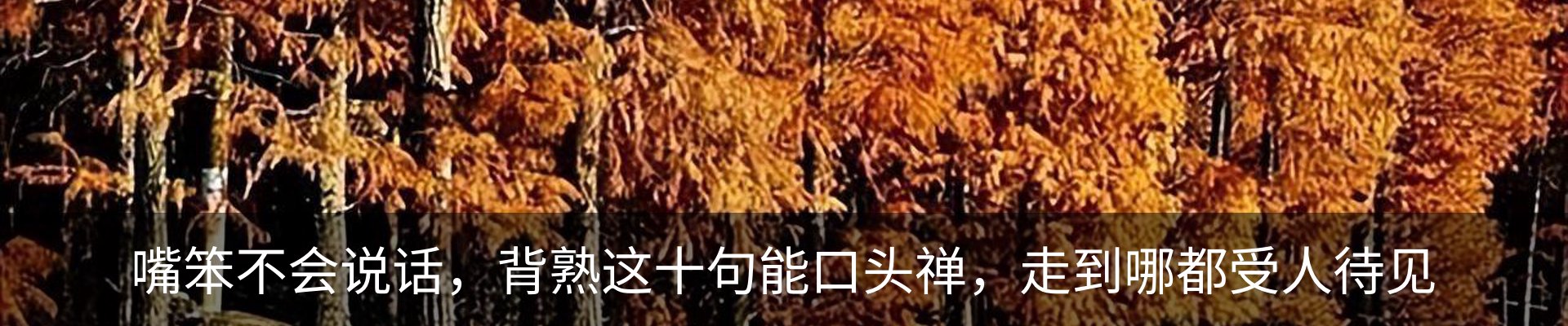 资讯中心