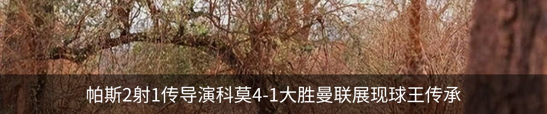 资讯中心
