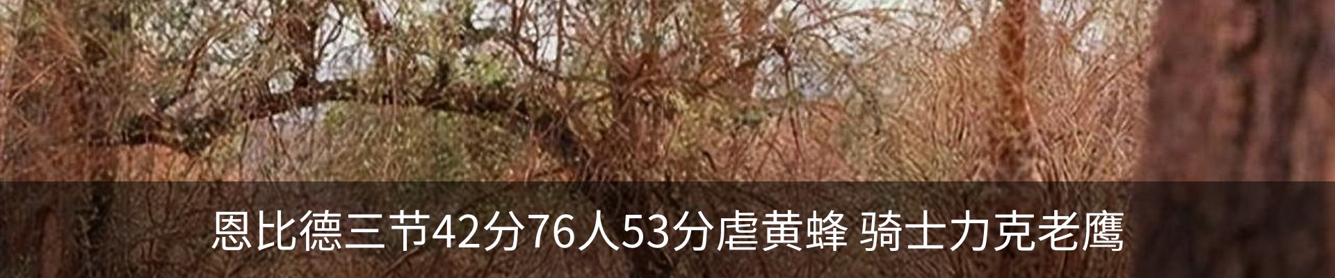 资讯中心