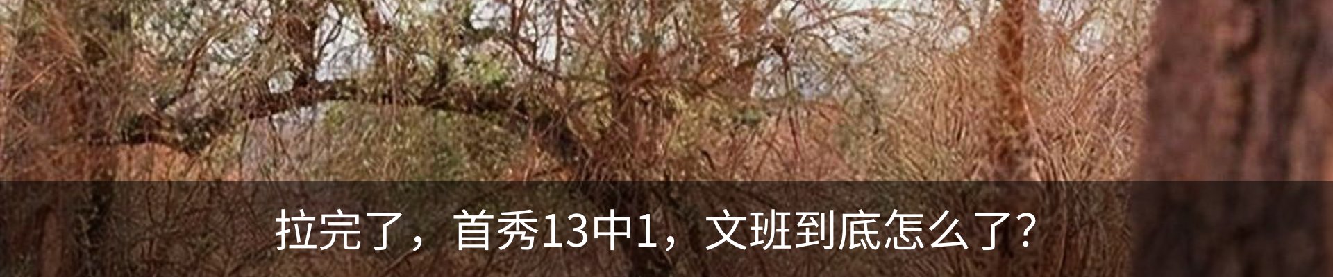 资讯中心