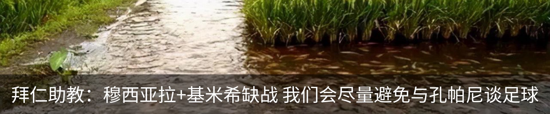 资讯中心