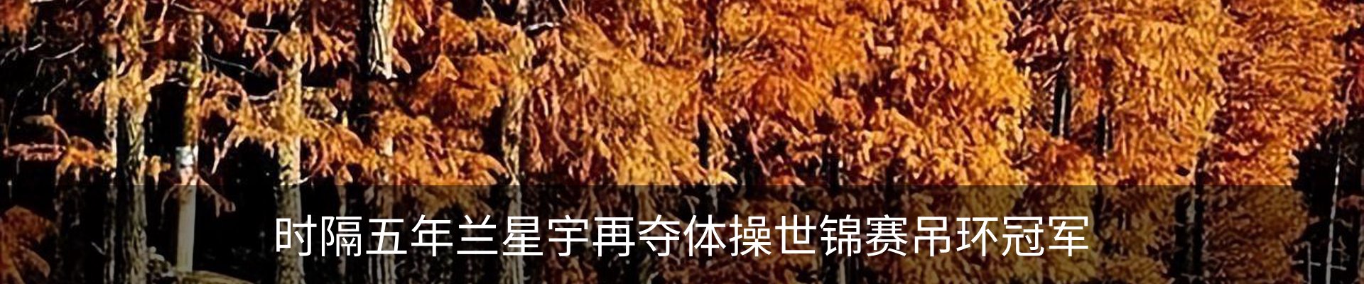资讯中心