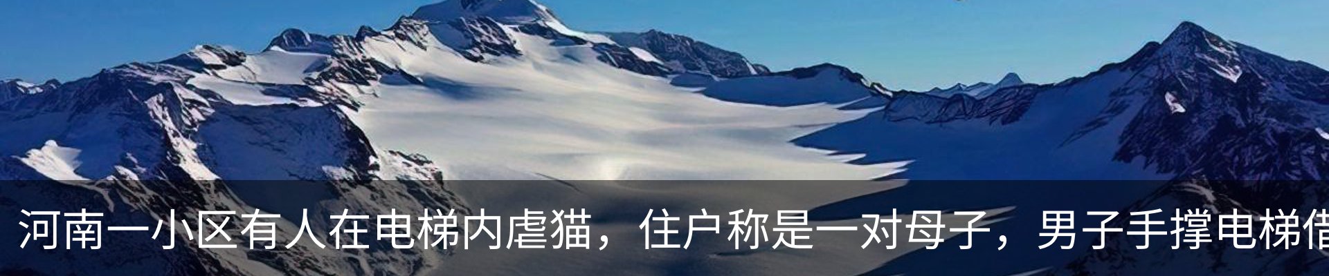 资讯中心