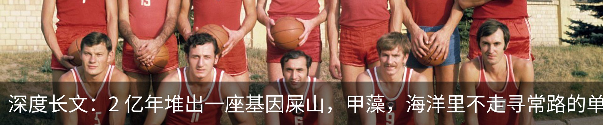 资讯中心