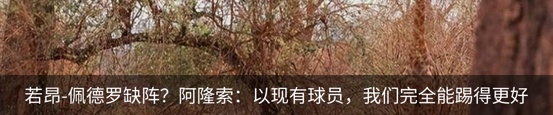 资讯中心