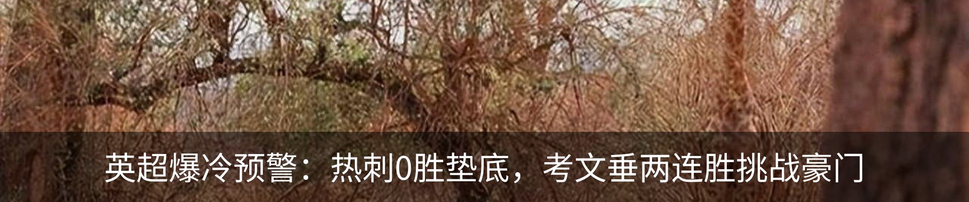 资讯中心