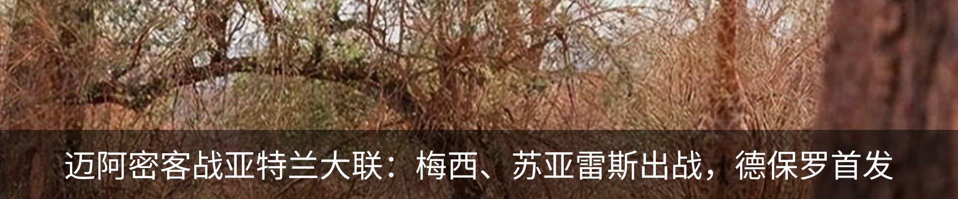 资讯中心