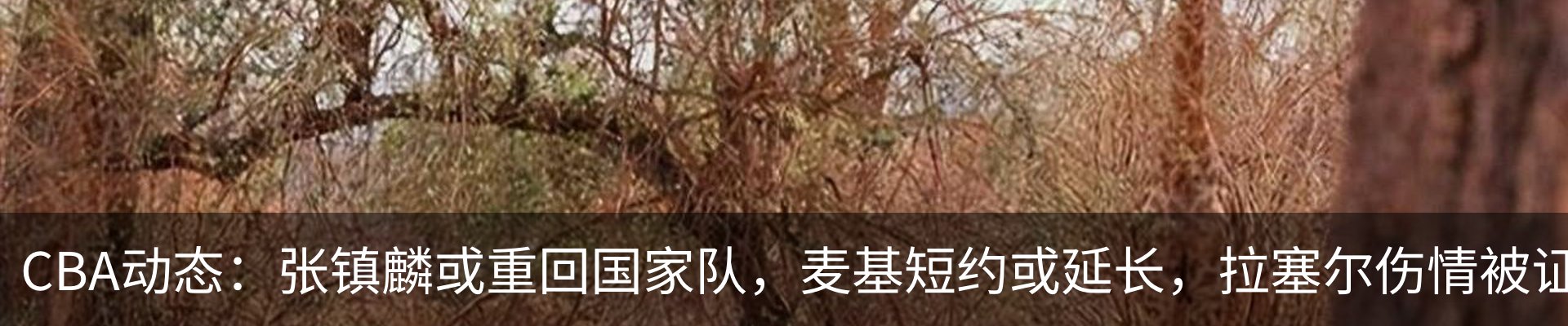 资讯中心